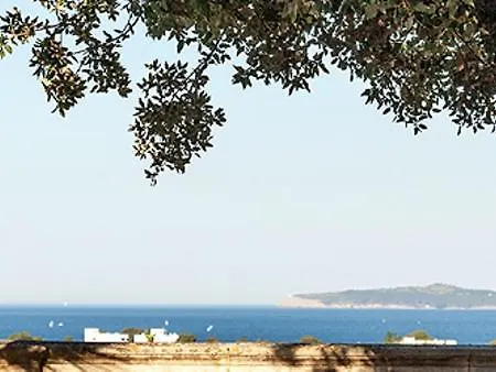 Llenaire Port de Pollença